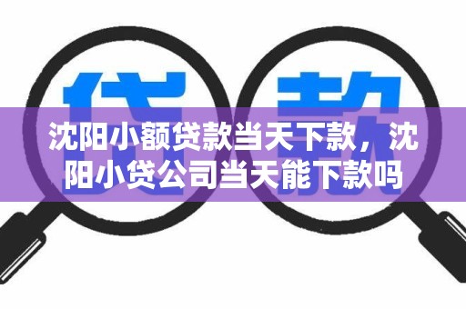 沈阳小额贷款当天下款，沈阳小贷公司当天能下款吗
