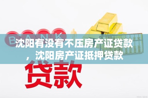 沈阳有没有不压房产证贷款，沈阳房产证抵押贷款
