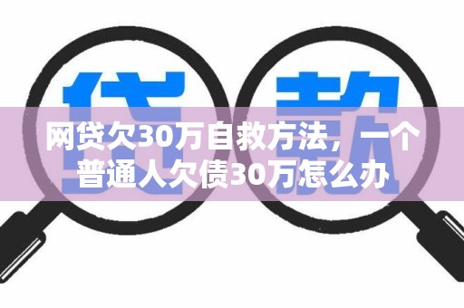 网贷欠30万自救方法，一个普通人欠债30万怎么办
