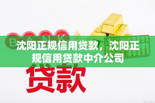 沈阳正规信用贷款，沈阳正规信用贷款中介公司