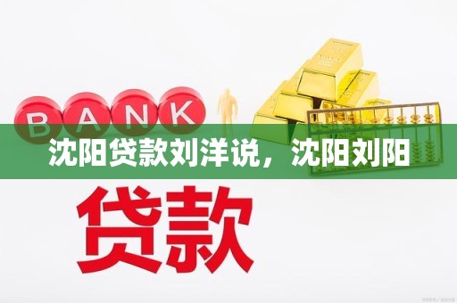沈阳贷款刘洋说，沈阳刘阳