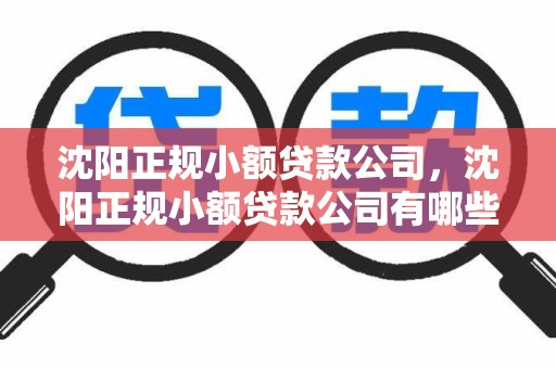 沈阳正规小额贷款公司，沈阳正规小额贷款公司有哪些