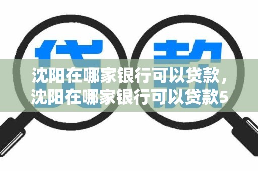 沈阳在哪家银行可以贷款，沈阳在哪家银行可以贷款50万