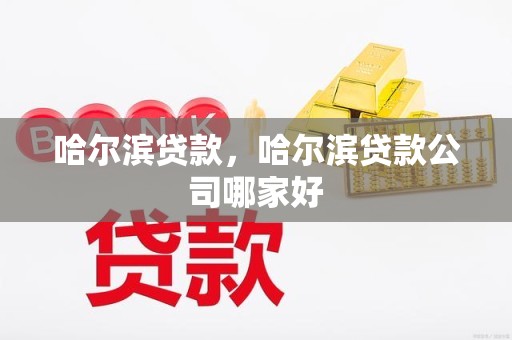 哈尔滨贷款，哈尔滨贷款公司哪家好