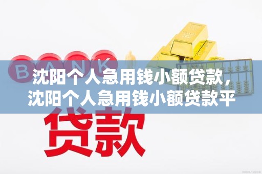 沈阳个人急用钱小额贷款，沈阳个人急用钱小额贷款平台