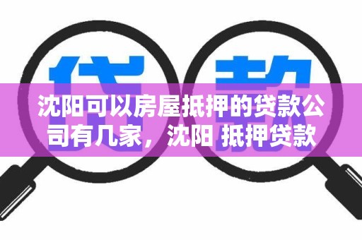 沈阳可以房屋抵押的贷款公司有几家，沈阳 抵押贷款