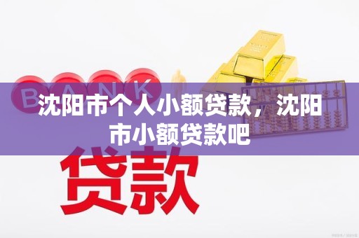 沈阳市个人小额贷款，沈阳市小额贷款吧