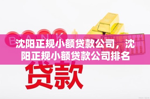 沈阳正规小额贷款公司，沈阳正规小额贷款公司排名
