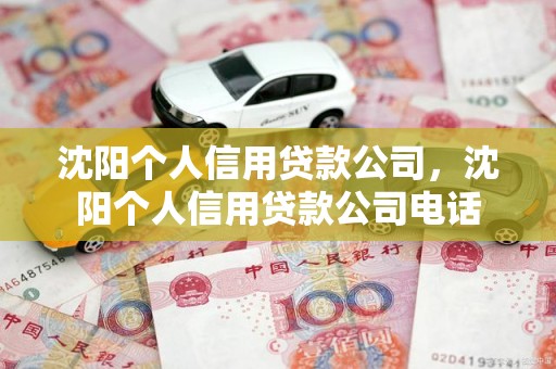 沈阳个人信用贷款公司，沈阳个人信用贷款公司电话