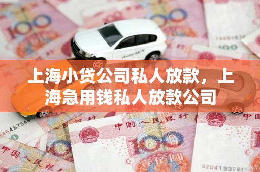 上海小贷公司私人放款，上海急用钱私人放款公司