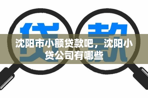 沈阳市小额贷款吧，沈阳小贷公司有哪些