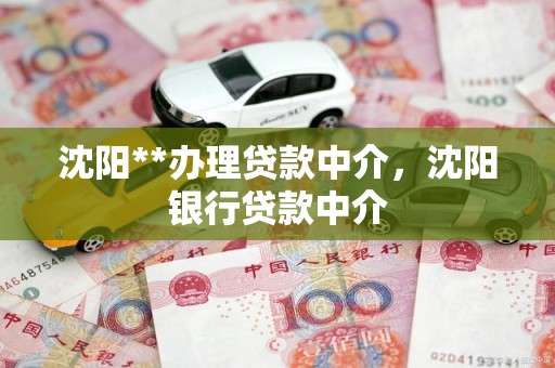 沈阳**办理贷款中介，沈阳银行贷款中介