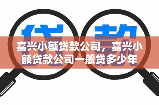 嘉兴小额贷款公司，嘉兴小额贷款公司一般贷多少年