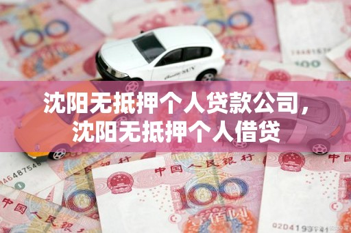沈阳无抵押个人贷款公司,沈阳无抵押个人借贷