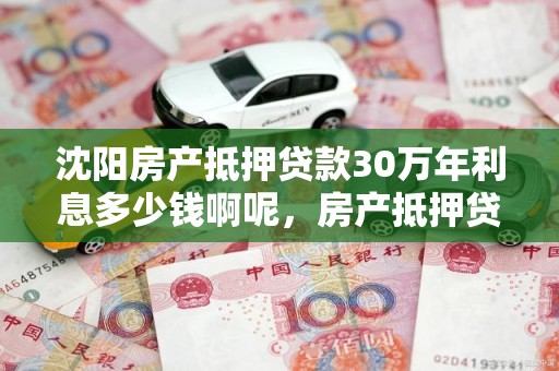 沈阳房产抵押贷款30万年利息多少钱啊呢，房产抵押贷款30万30年每月还多少
