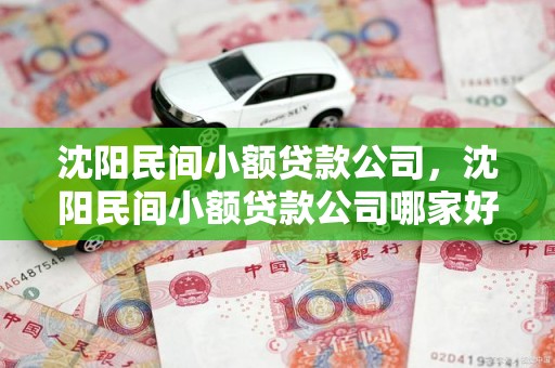 沈阳民间小额贷款公司，沈阳民间小额贷款公司哪家好